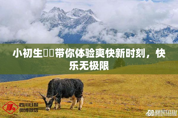 小初生❌‌带你体验爽快新时刻，快乐无极限
