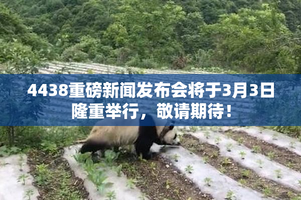 4438重磅新闻发布会将于3月3日隆重举行，敬请期待！