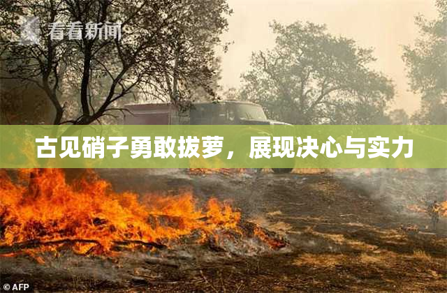 古见硝子勇敢拔萝，展现决心与实力