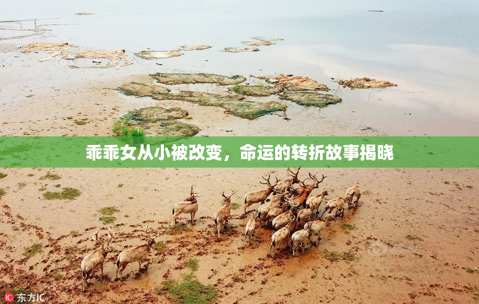 乖乖女从小被改变，命运的转折故事揭晓