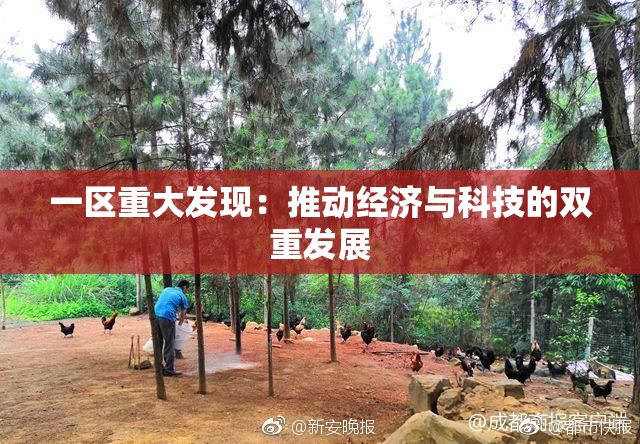 一区重大发现：推动经济与科技的双重发展
