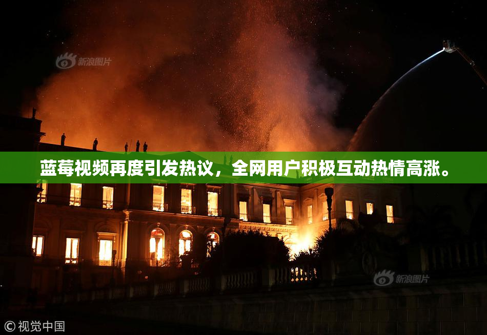 蓝莓视频再度引发热议，全网用户积极互动热情高涨。