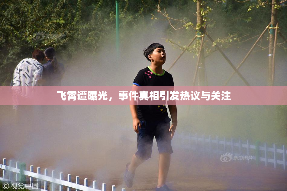 飞霄遭曝光，事件真相引发热议与关注