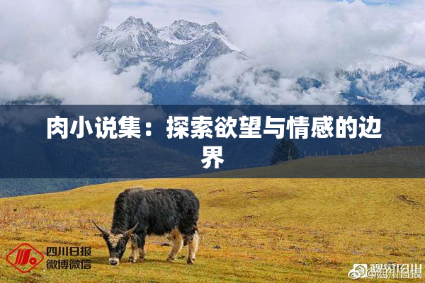 肉小说集：探索欲望与情感的边界