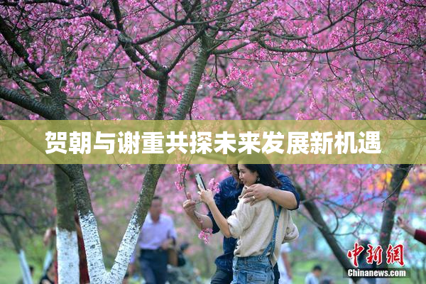 贺朝与谢重共探未来发展新机遇
