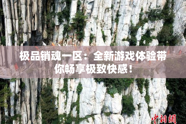 极品销魂一区：全新游戏体验带你畅享极致快感！