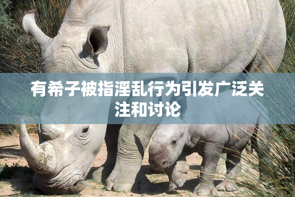 有希子被指淫乱行为引发广泛关注和讨论