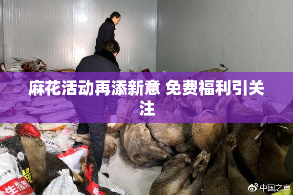 麻花活动再添新意 免费福利引关注