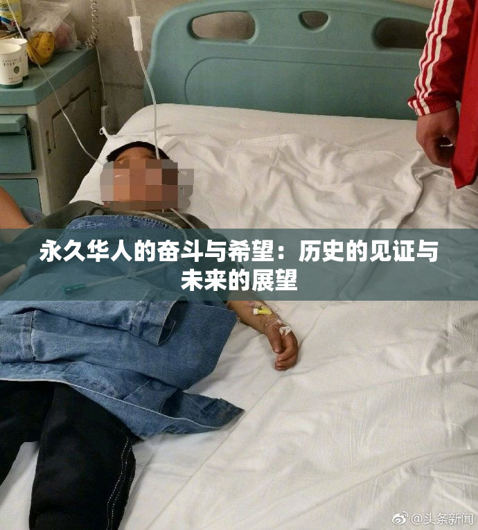永久华人的奋斗与希望：历史的见证与未来的展望