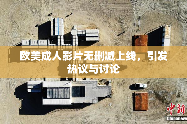 欧美成人影片无删减上线，引发热议与讨论
