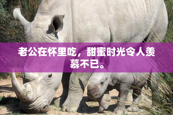 老公在怀里吃，甜蜜时光令人羡慕不已。
