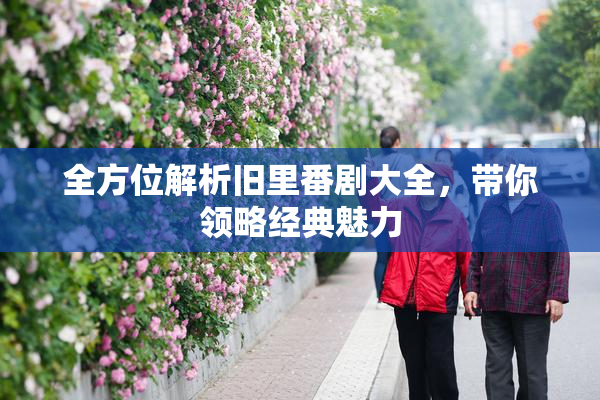 全方位解析旧里番剧大全，带你领略经典魅力
