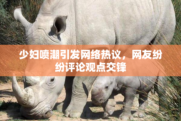 少妇喷潮引发网络热议，网友纷纷评论观点交锋
