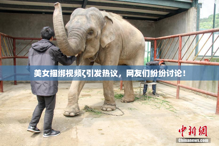 美女捆绑视频ζ引发热议，网友们纷纷讨论！