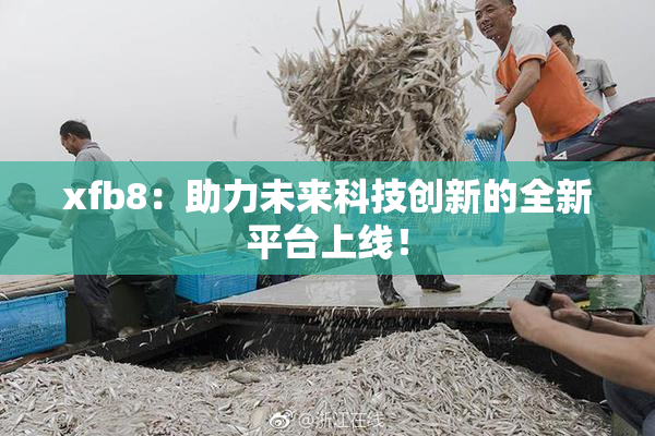 xfb8：助力未来科技创新的全新平台上线！