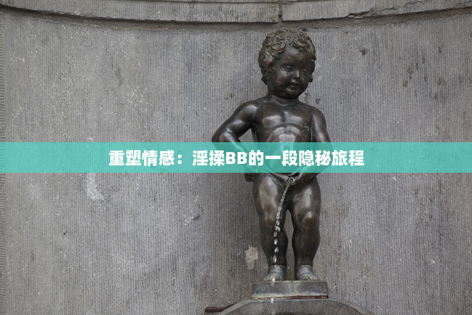 重塑情感：淫揉BB的一段隐秘旅程