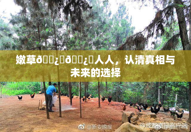 嫩草🌿‌🌿‌人人，认清真相与未来的选择
