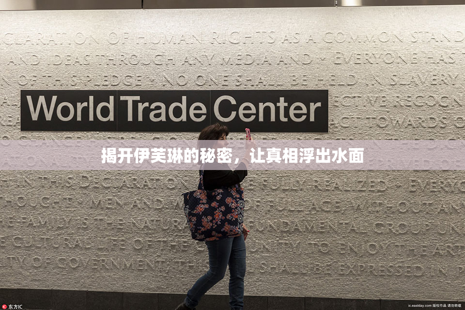 揭开伊芙琳的秘密，让真相浮出水面