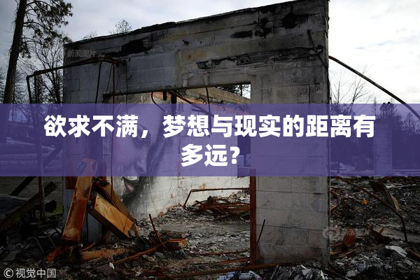 欲求不满，梦想与现实的距离有多远？