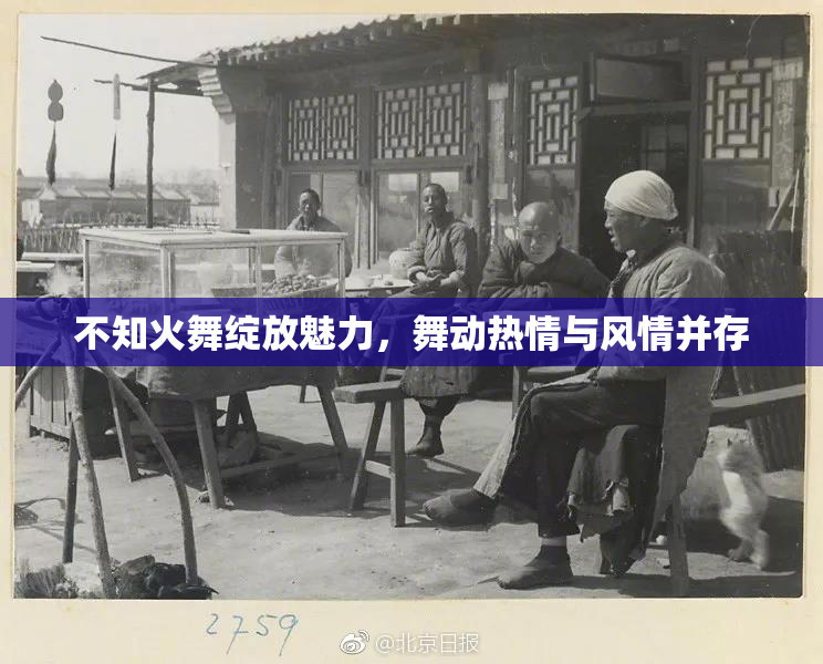 不知火舞绽放魅力，舞动热情与风情并存
