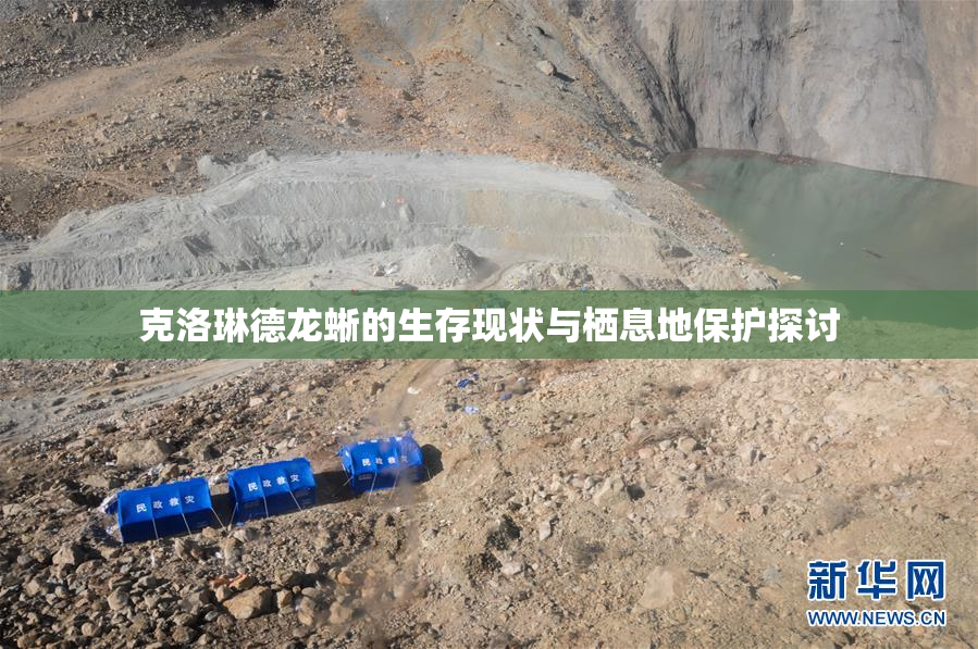 克洛琳德龙蜥的生存现状与栖息地保护探讨