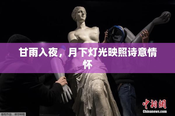 甘雨入夜，月下灯光映照诗意情怀