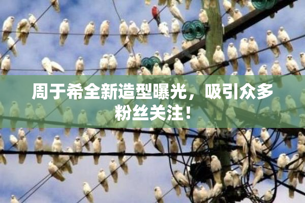 周于希全新造型曝光，吸引众多粉丝关注！