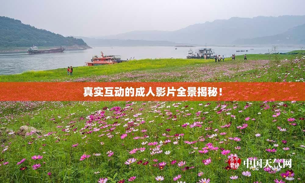 真实互动的成人影片全景揭秘！