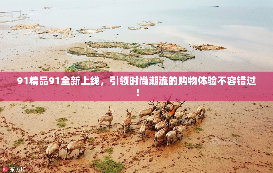 91精品91全新上线，引领时尚潮流的购物体验不容错过！