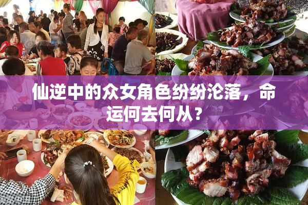 仙逆中的众女角色纷纷沦落，命运何去何从？