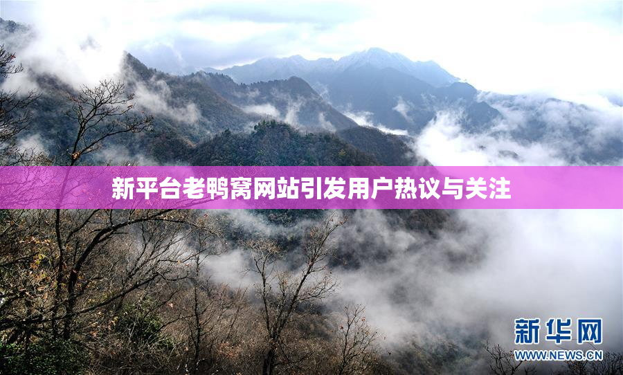 新平台老鸭窝网站引发用户热议与关注