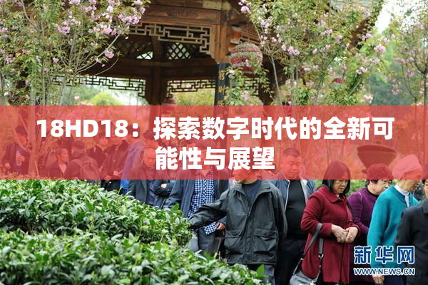 18HD18：探索数字时代的全新可能性与展望
