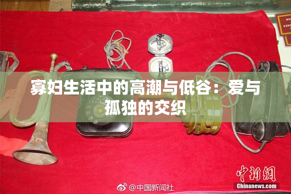 寡妇生活中的高潮与低谷：爱与孤独的交织