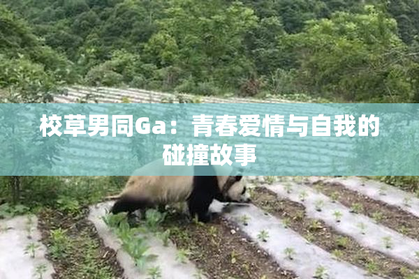 校草男同Ga：青春爱情与自我的碰撞故事