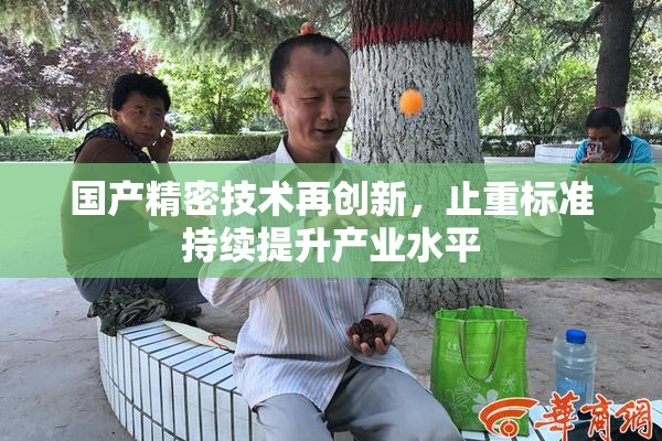 国产精密技术再创新，止重标准持续提升产业水平
