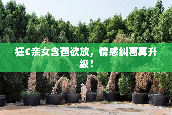 狂C亲女含苞欲放，情感纠葛再升级！