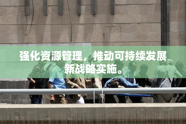 强化资源管理，推动可持续发展新战略实施。