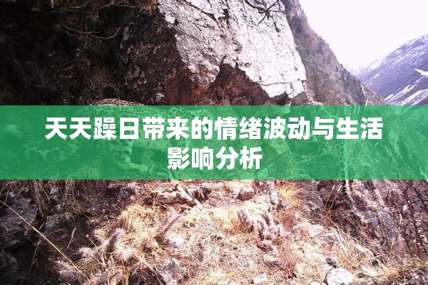天天躁日带来的情绪波动与生活影响分析