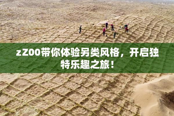 zZ00带你体验另类风格，开启独特乐趣之旅！