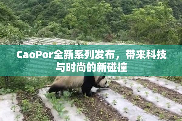 CaoPor全新系列发布，带来科技与时尚的新碰撞