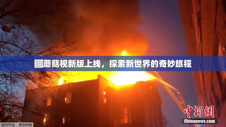 ▓蘑菇视新版上线，探索新世界的奇妙旅程
