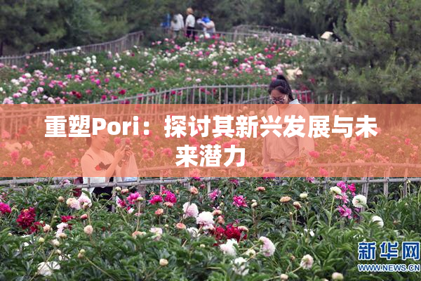 重塑Pori：探讨其新兴发展与未来潜力