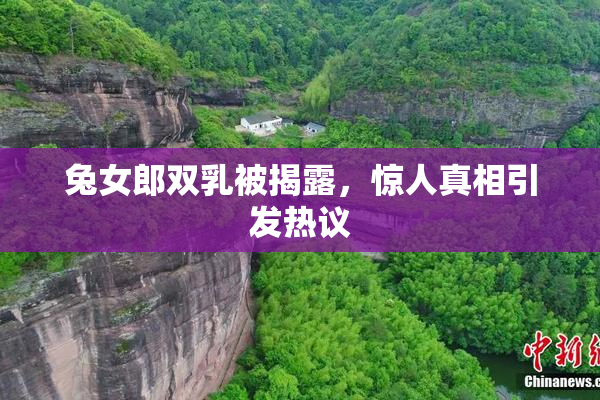 兔女郎双乳被揭露，惊人真相引发热议