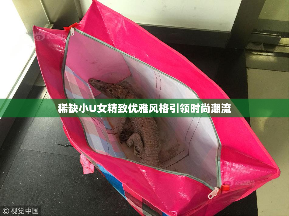 稀缺小U女精致优雅风格引领时尚潮流