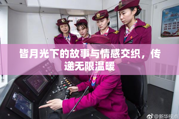 皆月光下的故事与情感交织，传递无限温暖