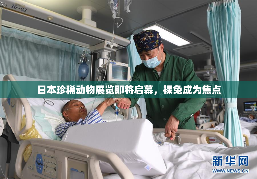 日本珍稀动物展览即将启幕，裸兔成为焦点