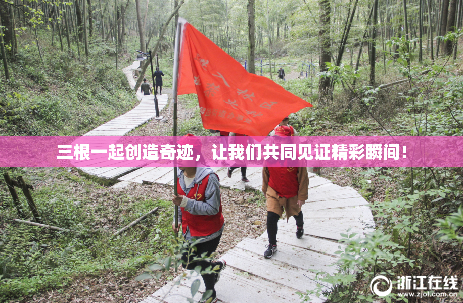 三根一起创造奇迹，让我们共同见证精彩瞬间！