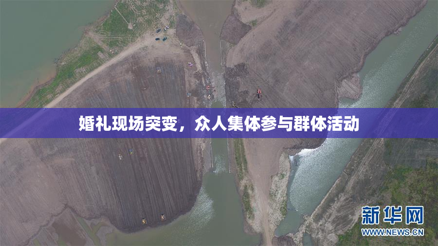 婚礼现场突变，众人集体参与群体活动