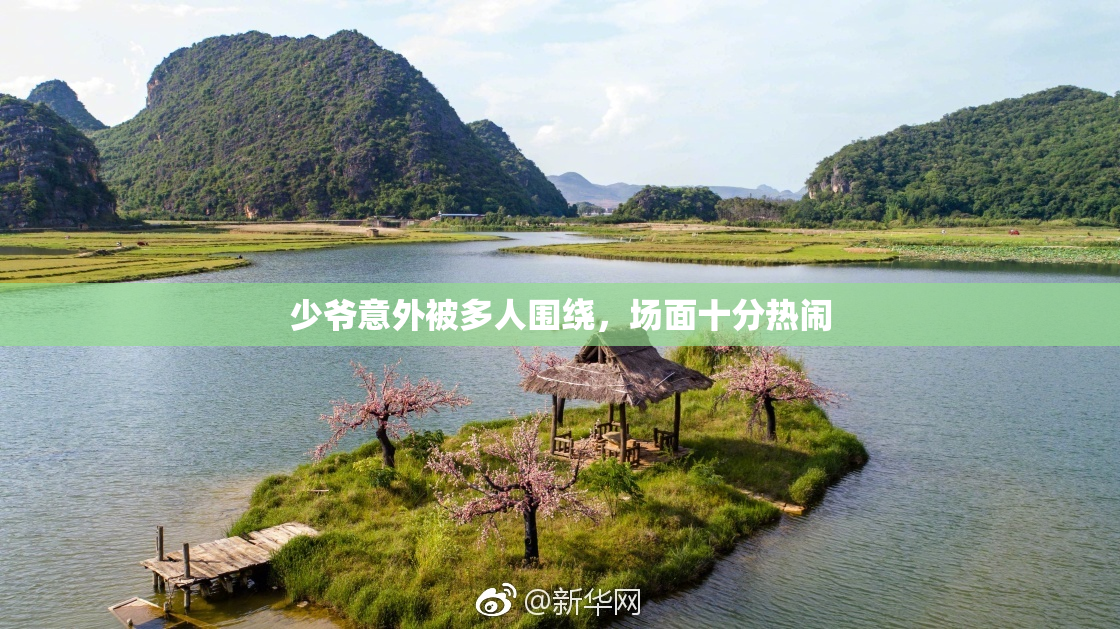 少爷意外被多人围绕，场面十分热闹