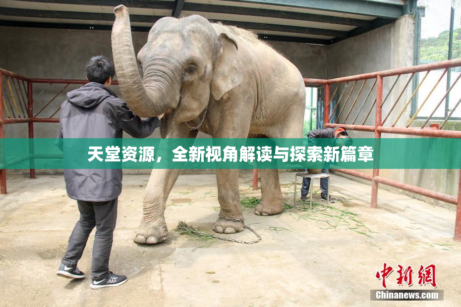 天堂资源，全新视角解读与探索新篇章